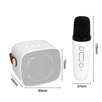 Blavec WS-07 Karaoke Party Bluetooth zvočnik 5W z 2 mikrofonoma - bel